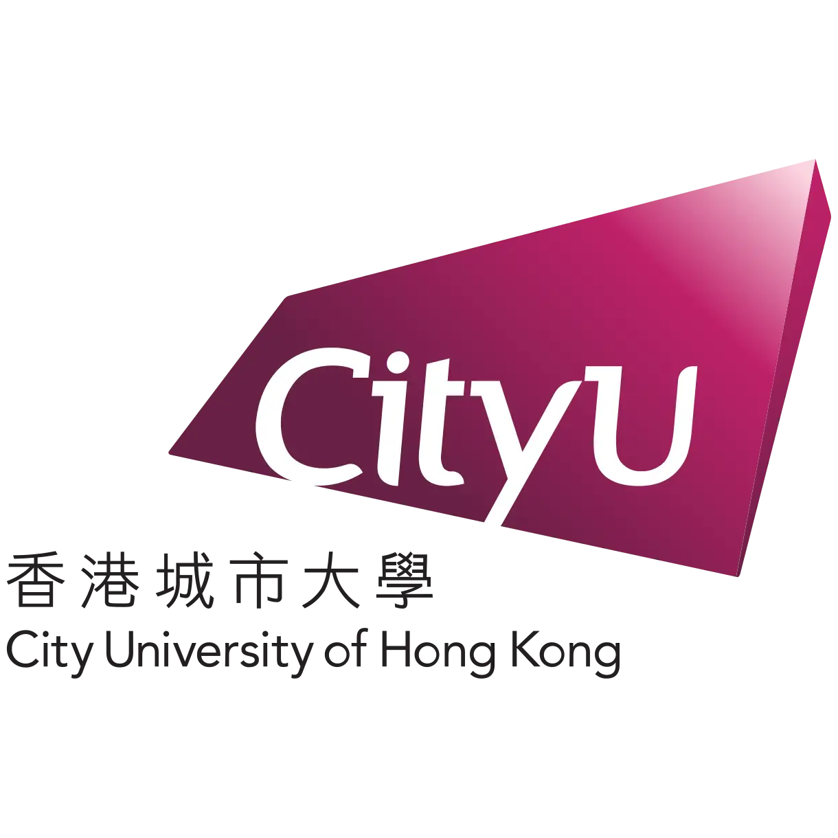 香港瑜伽課堂靜缽瑜伽合作團體 City U